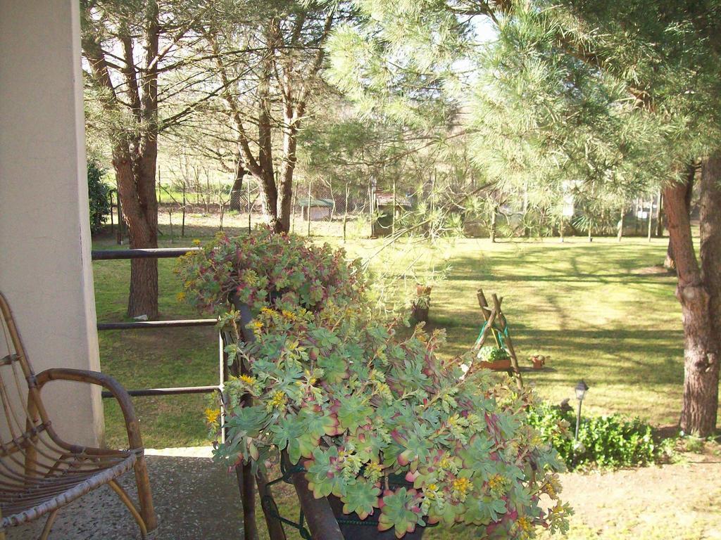 Campo Alle Monache Bucine Kamer foto