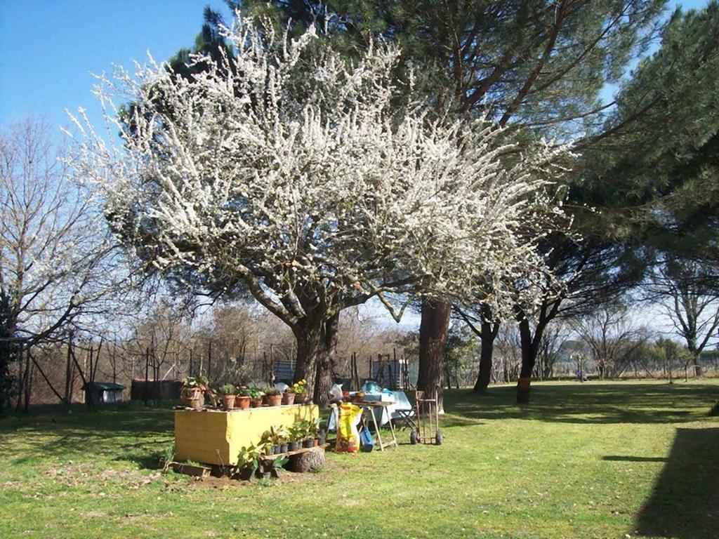 Campo Alle Monache Bucine Buitenkant foto