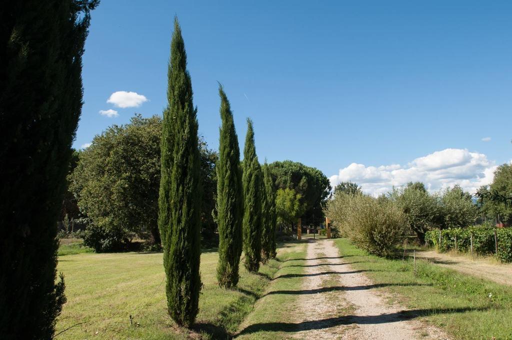 Campo Alle Monache Bucine Buitenkant foto