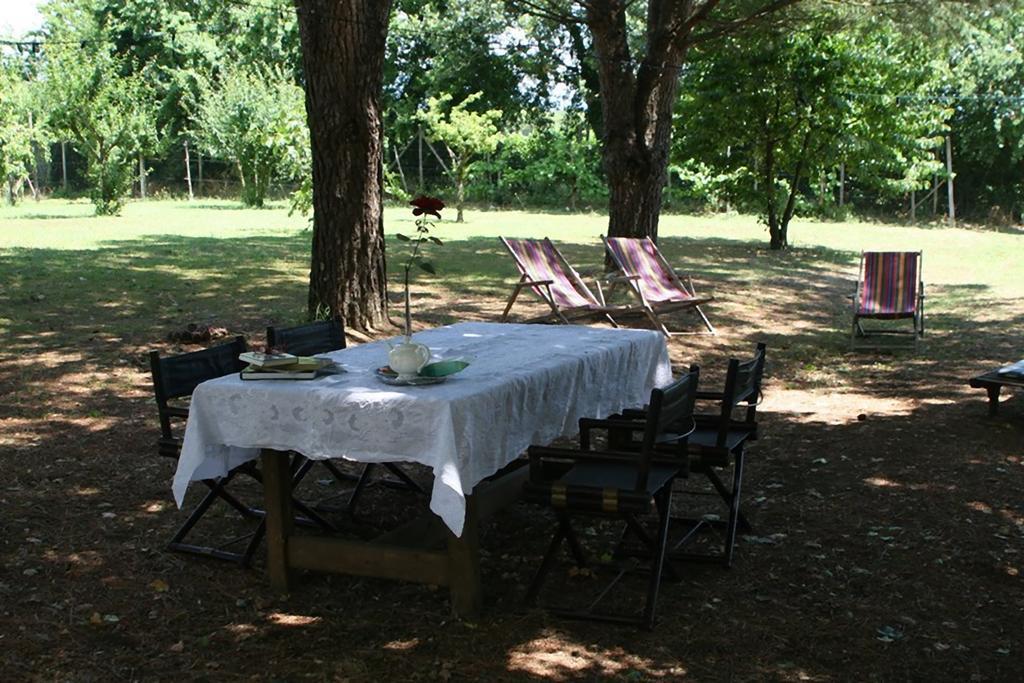 Campo Alle Monache Bucine Buitenkant foto