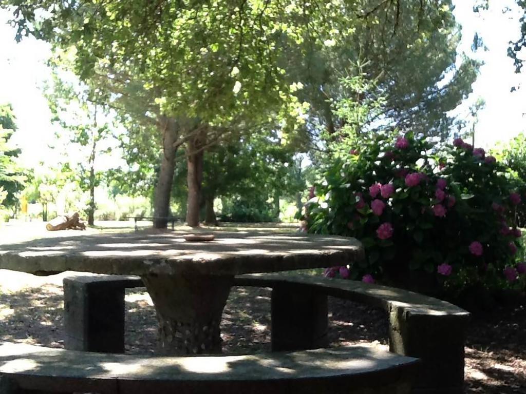 Campo Alle Monache Bucine Buitenkant foto
